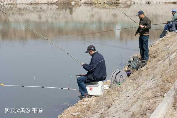 九年钓鱼怎么样，九年钓鱼怎么样才能钓到！-图3