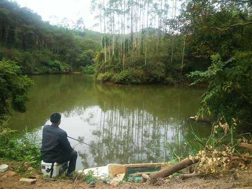 山塘农场钓鱼怎么样，山塘农场钓鱼怎么样好钓吗-图3