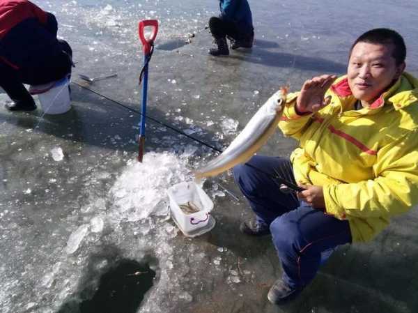 淮阳冬天钓鱼怎么样，淮阳冬天钓鱼怎么样呀！-图1