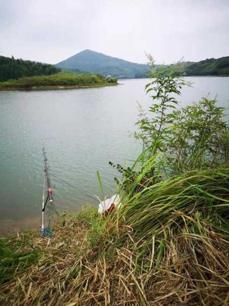 新河路钓鱼怎么样，新河野钓钓点-图2