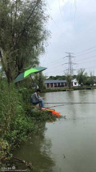 内乡钓鱼山庄怎么样，内乡钓鱼山庄怎么样啊-图2