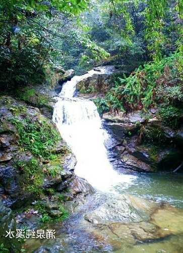 中山山泉钓鱼怎么样，中山哪里打泉水-图3