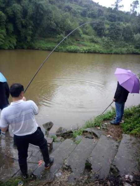 小雨天钓鱼怎么样，小雨天野钓！-图3