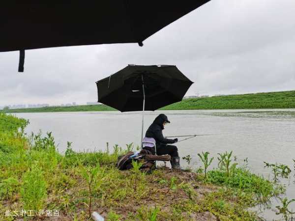 河里钓场钓鱼怎么样，河道里钓鱼！-图2