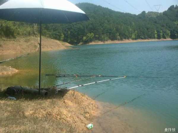 眉山今天钓鱼怎么样，眉山钓鱼天气-图3