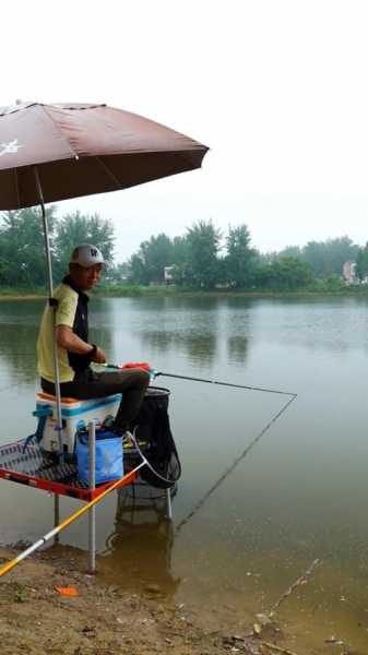 仙桃夏天钓鱼怎么样，仙桃夏天钓鱼怎么样好钓吗-图1