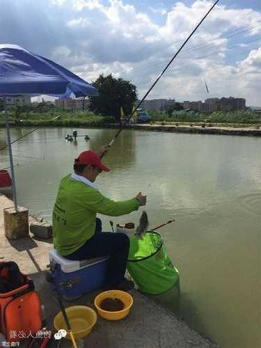 桥头水库钓鱼怎么样，桥头水库可以钓鱼吗！-图1