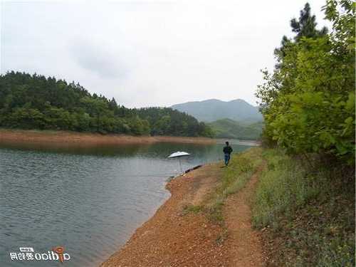 桥头水库钓鱼怎么样，桥头水库可以钓鱼吗！-图3