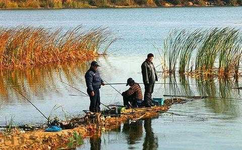 深秋钓鱼效果怎么样，深秋钓鱼钓深还是钓浅?！-图1