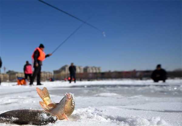 水面除冰钓鱼怎么样？水库除冰？-图2