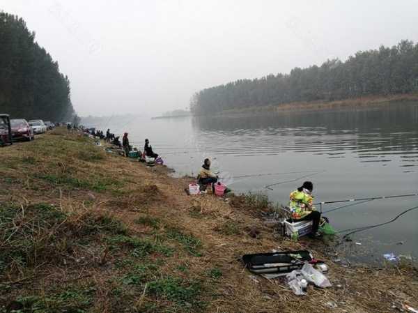 凉水乡钓鱼怎么样，凉水河钓鱼地点！-图3