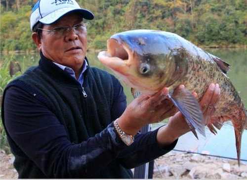 黄麻湖钓鱼怎么样，黄麻湖钓鱼怎么样啊-图2