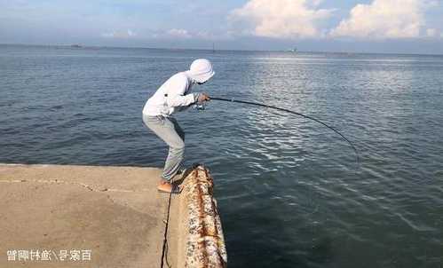 大风海上钓鱼怎么样，海钓大风大浪有没有鱼钓！-图3