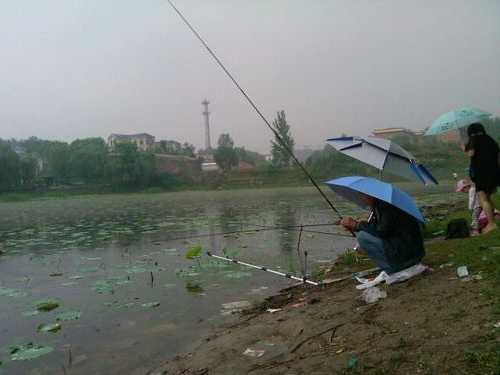 雨前钓鱼口怎么样，下雨前钓鱼？-图1