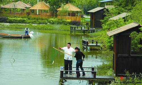 木屋休闲钓鱼怎么样，木屋度假-图1