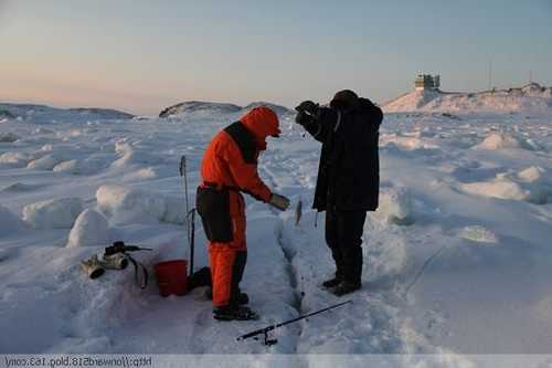 南极冬天钓鱼怎么样，南极冬季温度最低多少-图1