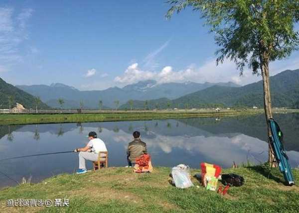 独山湖钓鱼怎么样，独山附近哪里好钓鱼？-图3