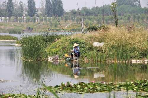 斜坡河塘钓鱼怎么样？斜坡河塘钓鱼怎么样视频？-图2