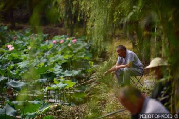 斜坡河塘钓鱼怎么样？斜坡河塘钓鱼怎么样视频？-图1