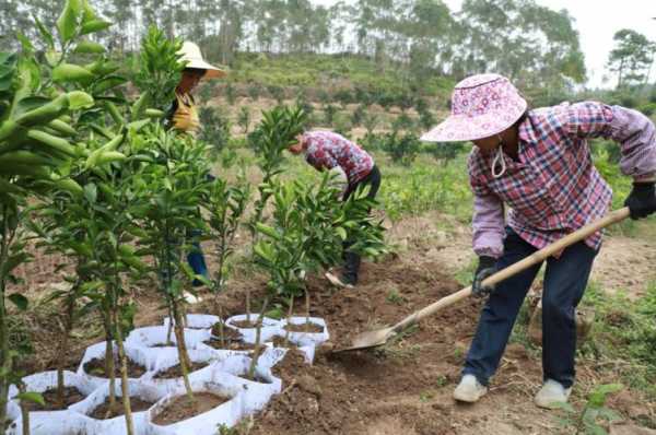 廉江大牙钓鱼怎么样，廉江大牙钓鱼怎么样啊！-图2