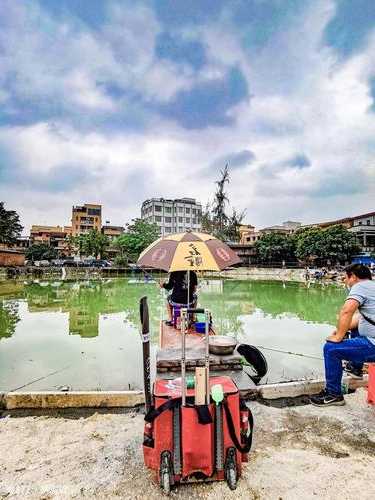 江高钓鱼怎么样，江高钓鱼地方！-图3