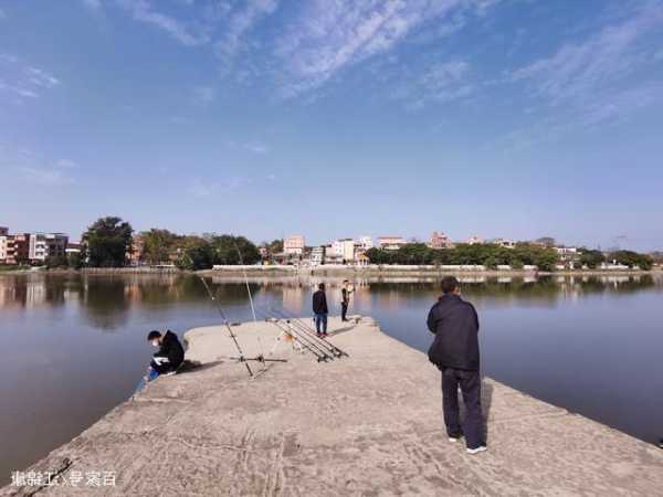 江高钓鱼怎么样，江高钓鱼地方！-图2