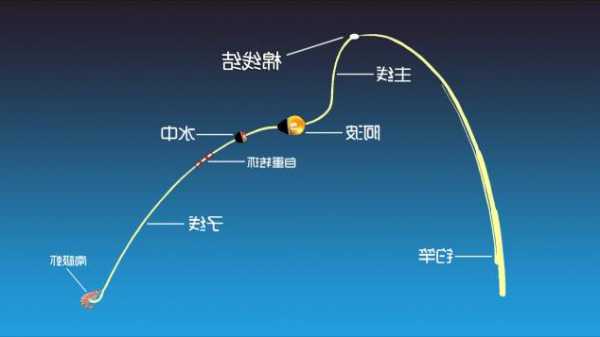 细线钓鱼效果怎么样？细线和细线对钓鱼的影响？-图3