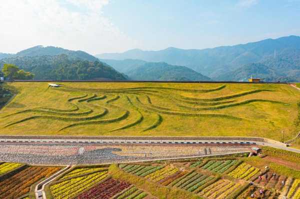 天人山水钓鱼怎么样，广州天人山水旅游管理有限公司！-图1