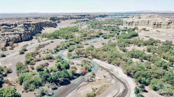 白杨河口钓鱼怎么样？白杨河大峡谷风景区？-图2