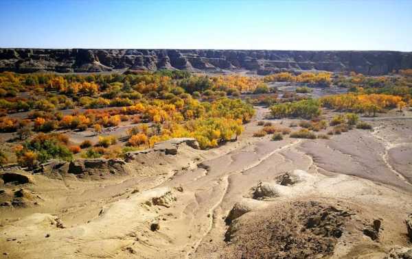 白杨河口钓鱼怎么样？白杨河大峡谷风景区？-图3