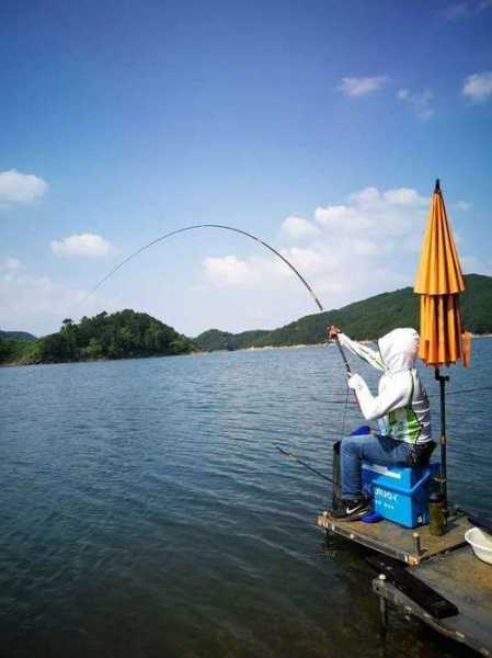 夏天钓场钓鱼怎么样，夏天钓鱼技巧大全！-图1