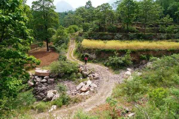 扶沟赵庄钓鱼怎么样，扶沟县赵沟村！-图2