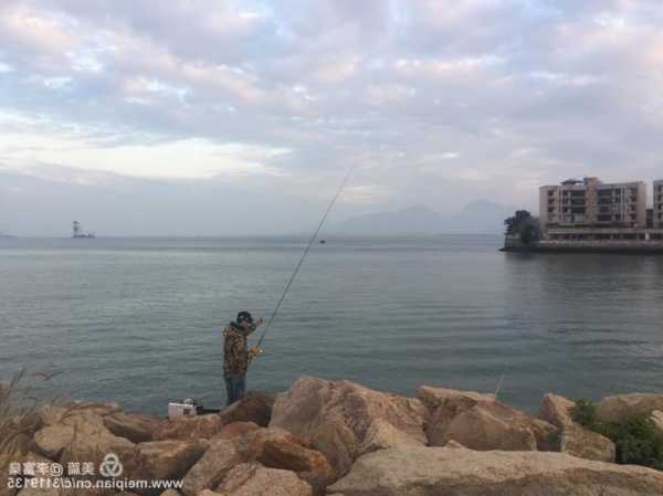 香港早上钓鱼怎么样，香港 钓鱼？-图2