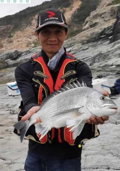 海边钓鱼怎么样保鲜？海钓的鱼怎么保鲜？-图1