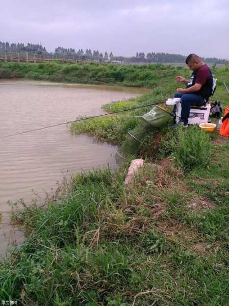 徐州胖子钓鱼怎么样，徐州胖子钓鱼怎么样呀？-图2