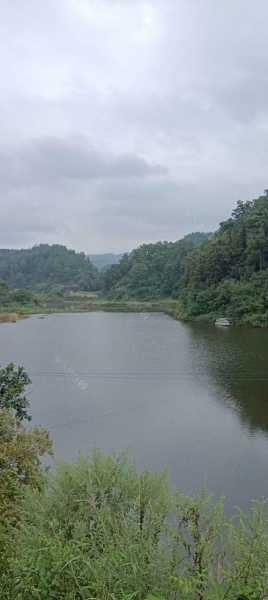 华宁小山钓鱼怎么样，华宁野钓！-图1