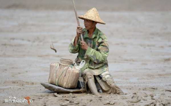 海堤滩涂钓鱼怎么样？海堤滩涂钓鱼怎么样啊？-图1