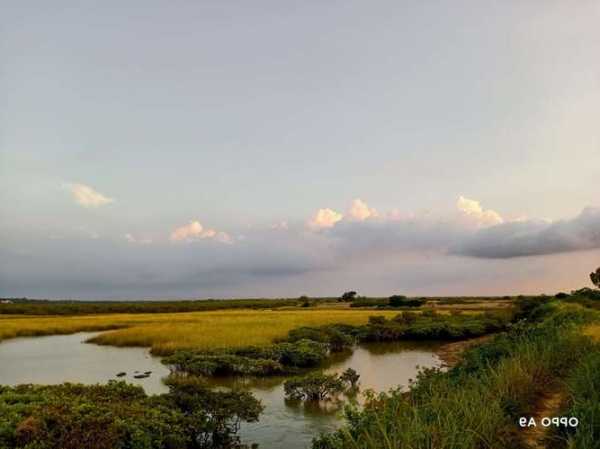 海堤滩涂钓鱼怎么样？海堤滩涂钓鱼怎么样啊？-图2