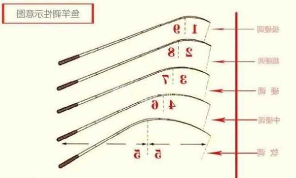 钓鱼怎么样选购鱼竿，钓鱼怎么选鱼杆！-图1