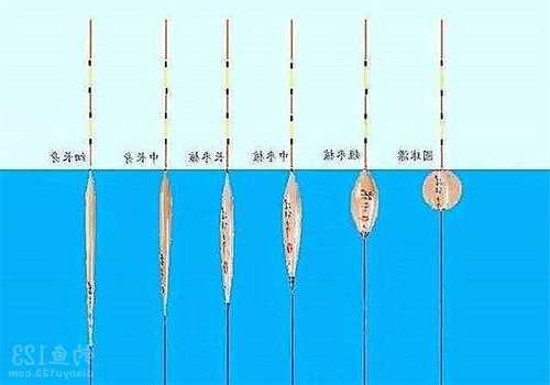 钓鱼怎么样选鱼漂，怎么选合适的鱼漂-图2