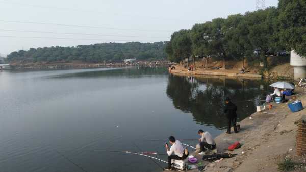 临河小院钓鱼怎么样？临河水库可以钓鱼吗?？-图3