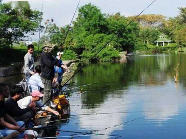 马山沟钓鱼怎么样，马山沟钓鱼怎么样好钓吗！-图1