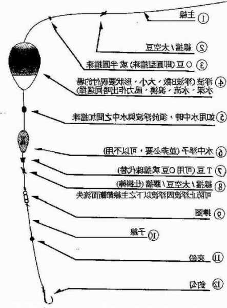 池上钓鱼线怎么样，池钓鱼技巧？-图3