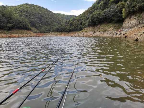 大方陡坡钓鱼怎么样，大方野钓的好地方-图3