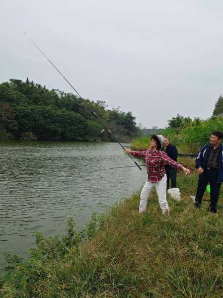 大树农场钓鱼怎么样，大树农场钓鱼怎么样啊-图3