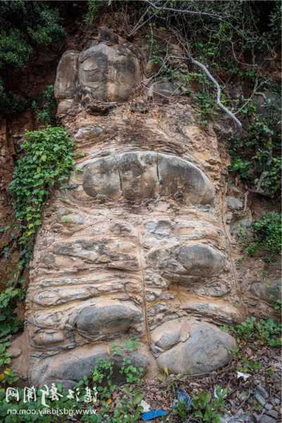 赤坎石坑钓鱼怎么样，赤坎村奇石？-图3