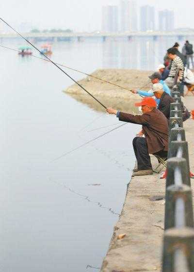 洛河澄城钓鱼怎么样？蒲城县洛河野钓？-图3