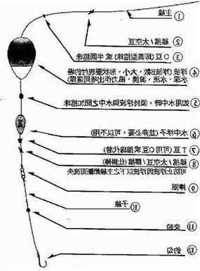 怎么样安钓鱼线，如何安钓鱼线-图1