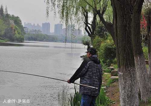 春天钓鱼手感怎么样，春天钓鱼攻略-图3