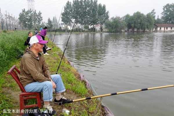 春天钓鱼手感怎么样，春天钓鱼攻略-图2